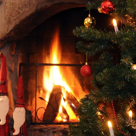 Scandic リゾート ハーフィエル