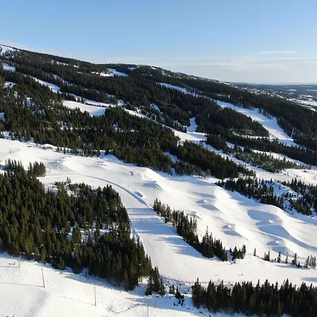 Scandic リゾート